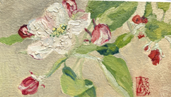Anne Jitske Salverda, Appelbloesem, 135 euro, Olieverf op paneel zonder lijst, 15x8 cm