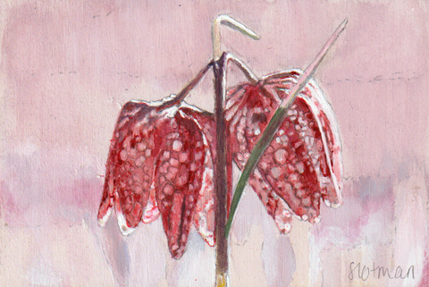 Gea Slotman, Kivietsbloem, 225 euro, Acryl op hout zonder lijst, 10x15 cm