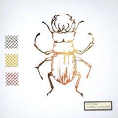 Renee Toonen, Tor Lucanus, 55 euro, Papiersnijwerk met borduursel in houten lijst, 18x18 cm