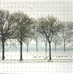 Annette van Waaijen, Once upon a time....(sheep), 295 euro, Gemengde techniek met foto/bordurens in baklijstje, 20x20 cm