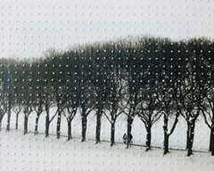 Annette van Waaijen, Once upon a time - a walk in the snow, Gemengde techniek met foto en borduurstel in baklijst, 30x24 cm, €.395,-