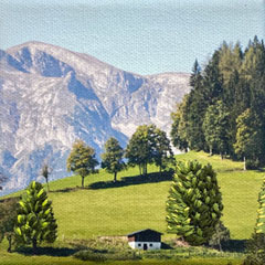 Annette van Waaijen, Alpenweitje, 155 euro, Gemengde techniek met fotografie en borduren in houten baklijst, 10x10 cm