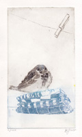 Barbara Wichers Hoeth, Mus op theedoek/blauw, Ets in ijzeren lijst, 28x18 cm, €.195,-