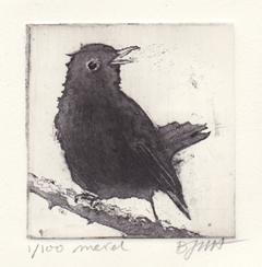 Barbara Wichers Hoeth, Merel, Ets in ijzeren lijst, 7x7 cm/20x20 cm, €.195,-(in houten lijst 150,-)