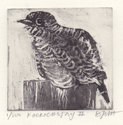 Barbara Wichers Hoeth, Koekoeksjong II, Ets in ijzeren lijst, 7x7 cm/20x20 cm, €.195,- (in houten lijst 150,-)