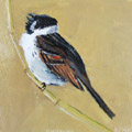 Barbara Wichers Hoeth, Riet gors, Olieverf op hout, 12x12 cm, €.125,-