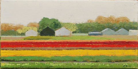 Gineke Zikken, Bollenvelden Noordwijk, 600 euro, Olieverf op doek in baklijst, 20x40 cm