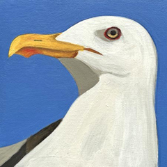Yvonne Zomerdijk, Kikker 2, 85 euro, Olieverf op paneel zonder lijst, 10x10 (komt een beetje van de muur