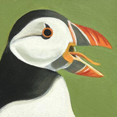Yvonne Zomerdijk, Papegaaiduiker, 85 euro, Olieverf op paneel zonder lijst, 10x10 (komt een beetje van de muur