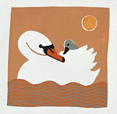 Yvonne Zomerdijk, Zwaan, 75 euro, Linosnede in lichte lijst, 20x20 cm