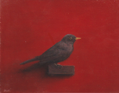 Marc van der Zwet, Merel op rood, Olieverf op eiken plank zonder lijst, 16x12,5 cm, €.280,- euro