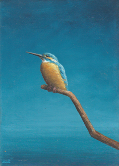 Marc van der Zwet, IJsvogel gespitst, 400 euro, Olieverf op eiken zonder lijst, 14,8x20,8 cm