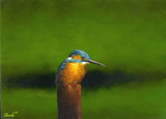 Marc van der Zwet, IJsvogel op paaltje op groen, 380 euro, Olieverf op paneel zonder lijst, 17,3x12,4 cm