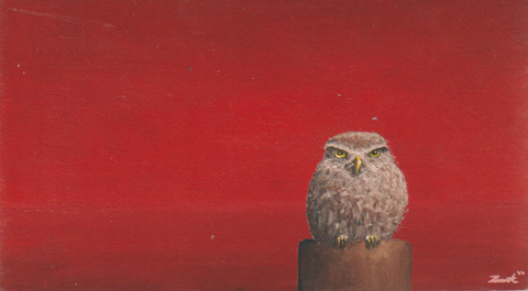 Marc van der Zwet, Steenuil mer rode horizon, 350 euro, Olieverf op eik zonder lijst, 18x10x4 cm