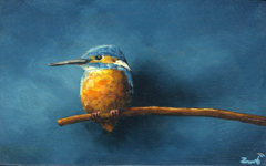 Marc van der Zwet, IJsvogel is blij, 300 euro, Olieverf op peneel in baklijstje, 13,2x8,2 cm