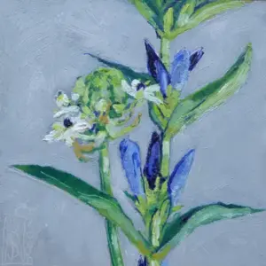 Anne Jitske Salverda, Bloemen van Irma, Oil on panel, 20x20 cm excl. frame, €.180,- in frame €.220,-