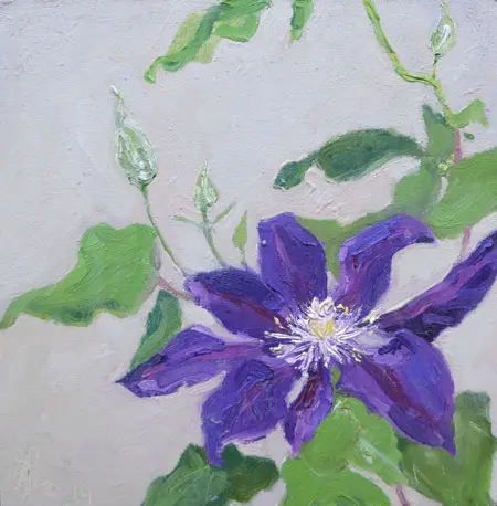 Anne Jitske Salverda, Clematis, Oil on panel, 20x20 cm, €.180,-, unframed and €.220,- in frame