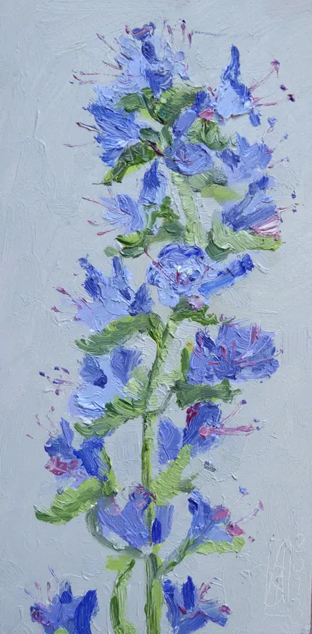 Anne Jitske Salverda, De mooiste uit het duin, Oil on panel, 26x13 cm, Unframed, €.180,- in frame €.220,-