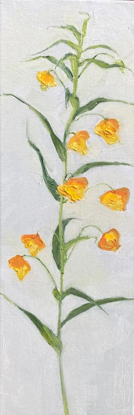 Anne Jitske Salverda, Sandersonia, 400 euro, Oil on canvas, unframed, 60x20 cm