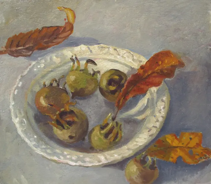 Annemarie Verschoor, Mispels, 175 euro, Oil on panel, 23x20 cm