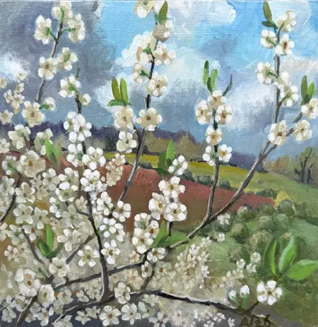 Annemarie Verschoor, Pruimenbloesem met uitzicht, 200 euro, Oil on panel, unframed, 32x32 cm
