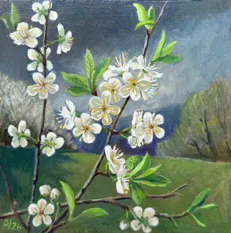 Annemarie Verschoor, Pruimenbloesem, 200 euro, Oil on panel, unframed, 32x32 cm