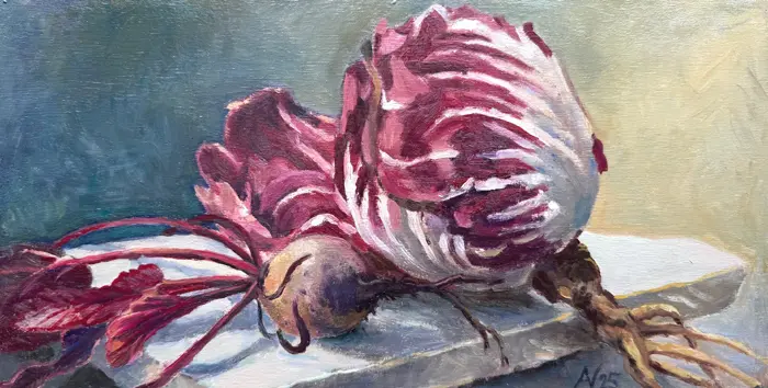 Annemarie Verschoor, Radichio biet, 250 euro, Oil on panel, unframed, 17x34 cm