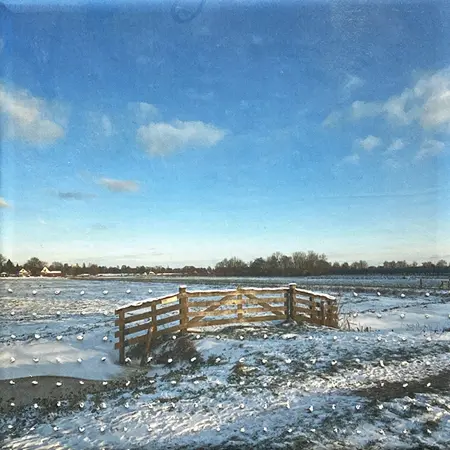 Annette van Waaijen, Once upon a time...(polder), 295 euro, Mixed media with photo/embroidery in wooden frame, 20x20 cm