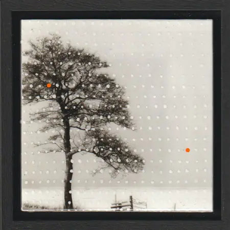 Annette van Waaijen, The Tree, 245 euro, Photo with acrylic and epoxy in black frame, 15x15 cm