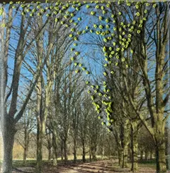 Annette van Waaijen, Vondelpark (bijna voorjaar), 145 euro, Mixed media with photo/embroidery in wooden frame, 10x10 cm