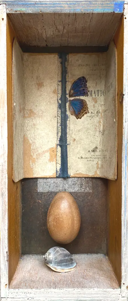 Antje Weber, Butterfly, Mixed media in box, 36x15x11 cm, €.80,-