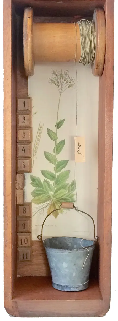 Antje Weber, Grow, Mixed media/collage in old wooden box, 11,5x8,5x35,5 cm, €.130,-