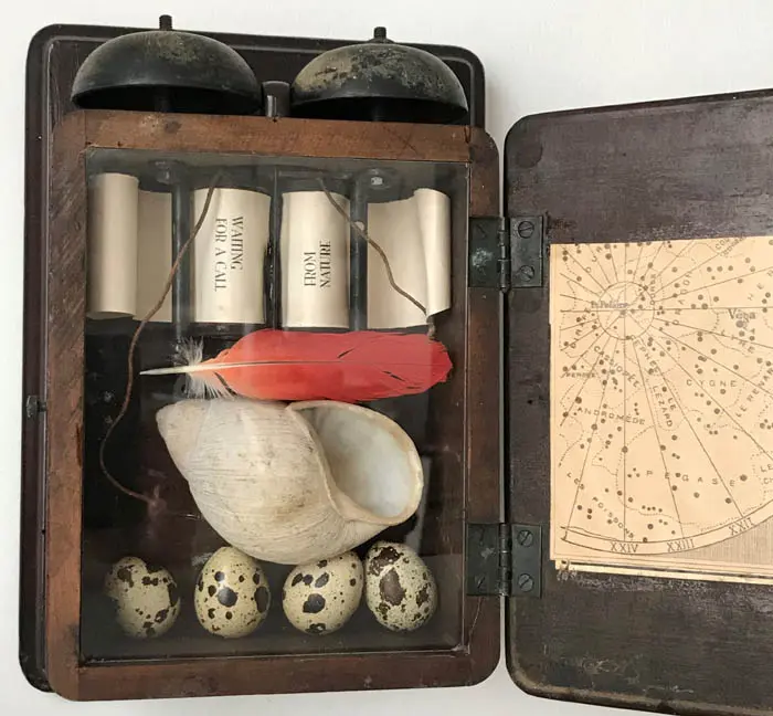 Antje Weber, Waiting for a call from nature, Mixed media in box, 24x16x9 cm, €.150,-