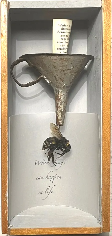 Antje Weber, Weird things may happen, 110 euro, Mixed media with insect, 15x7x6 cm