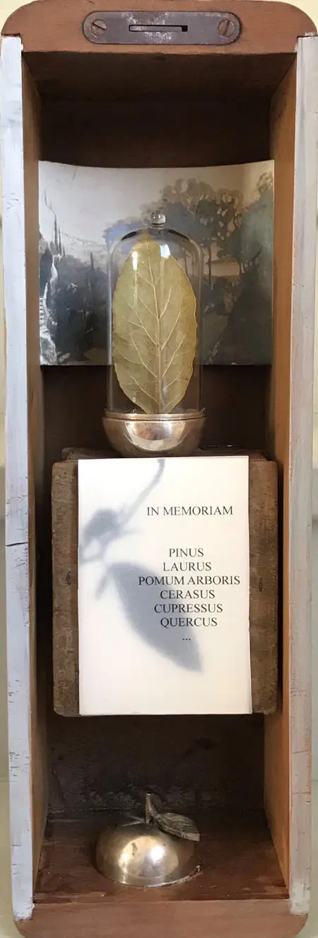 Antje Weber, In Memoriam, 90 euro, Mixed media in box, 36x11x10