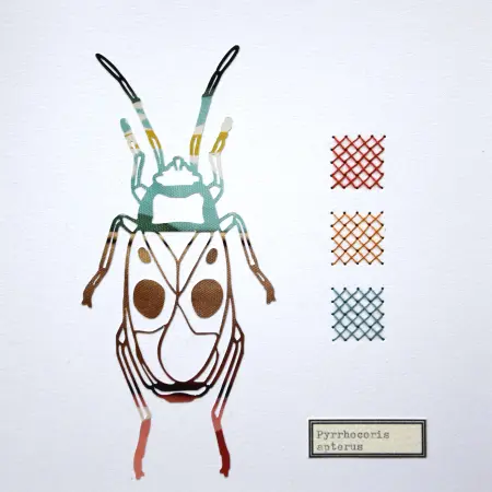 Renee Toonen, Kever pyrrhocoris, 55 euro, Paper cutting with embroidery in wooden frame, 18x18 cm