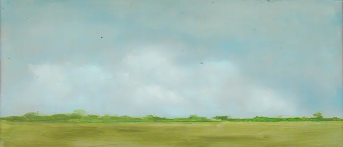 Marcel van Pinxteren, M3, 150 euro, Oil on wood, unframed, 9x21x1cm