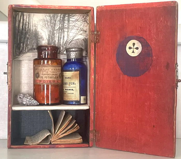 Antje Weber, Poison, 150 euro, Mixed media with miniature book and medical bottles, 20x12x6 cm