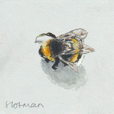Gea Slotman, Bij, Acrylic on wood, 15x15x3 cm, €125,-