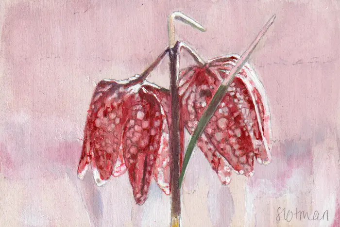 Gea Slotman, Kivietsbloem, 225 euro, Acrylic on wood, unframed, 10x15 cm