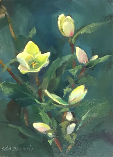 Geke Steenmetz, Helleboris, 150 euro, Oil in wooden frame, 18x13 cm
