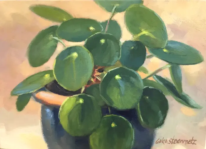 Geke Steenmetz, Pannekoekplantje, 175 euro, Oil in wooden frame, 13x18 cm