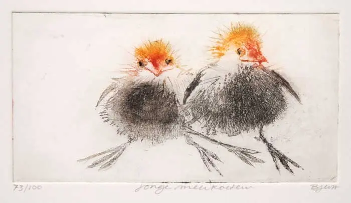 Barbara Wichers Hoeth, 2 Jonge meerkoeten, Colour etching in frame with glass, 24x18 cm, €.175,-