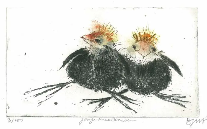Barbara Wichers Hoeth, 2 Jonge meerkoeten,225 euro, Etching in frame with glass, 10x15 cm and in frame, 20x30 cm