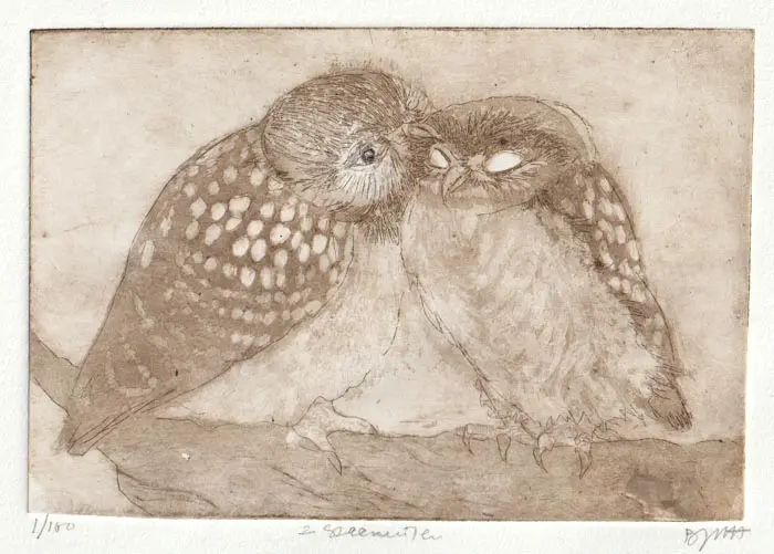 Barbara Wichers Hoeth, 2 steenuilen, 240 euro, Etching in wooden frame with glass, 11x16 cm and in frame, 21x26 cm