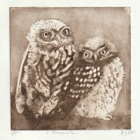 Barbara Wichers Hoeth, 2 steenuilen, 225 euro, Etching in frame with glass, 18x18 cm