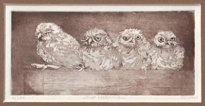 Barbara Wichers Hoeth, 4 jonge Steenuilen, 225 euro, Etching in frame with glass, 10x18 cm in frame, 21x26 cm