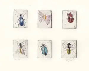 Barbara Wichers Hoeth, 6 insekten, 225 euro, 6 etchings in frame with glass, 20x26 cm