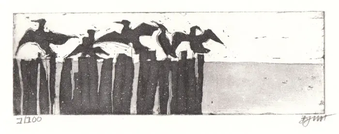 Barbara Wichers Hoeth, Aalscholvers, 225 euro, Etching in frame with glass, 19x30 cm