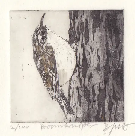 Barbara Wichers Hoeth, Boomkruiper, 225 euro, Etching in frame with glass, 7x7 cm/20x20 cm